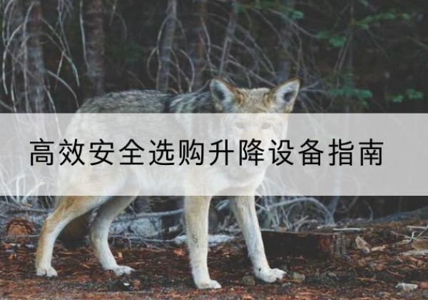 彬州升降货梯厂家推荐-*安全选购升降设备指南