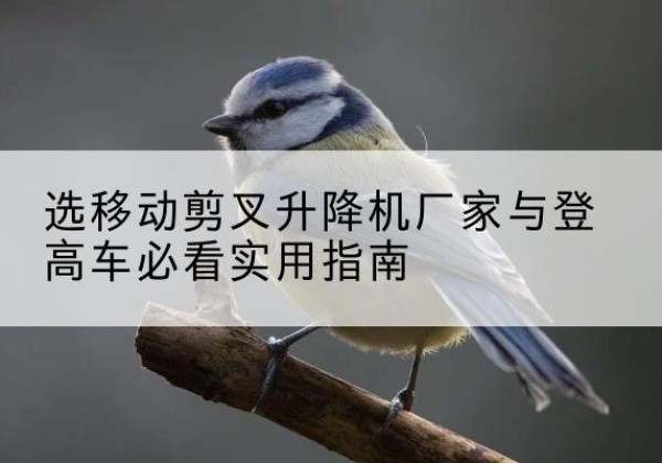 彬州电动升降机厂家-选移动剪叉升降机厂家与登高车必看实用指南