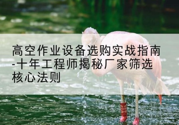 彬州剪叉式升降机厂家-高空作业设备选购实战指南-十年工程师揭秘厂家筛选核心法则